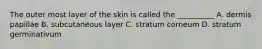 The outer most layer of the skin is called the __________ A. dermis papillae B. subcutaneous layer C. stratum corneum D. stratum germinativum