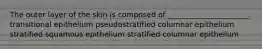 The outer layer of the skin is composed of ______________________. transitional epithelium pseudostratified columnar epithelium stratified squamous epithelium stratified columnar epithelium