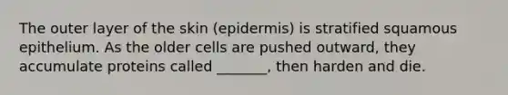 The outer layer of the skin (epidermis) is stratified squamous epithelium. As the older cells are pushed outward, they accumulate proteins called _______, then harden and die.