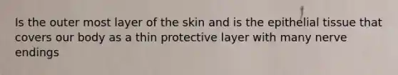 Is the outer most layer of the skin and is the epithelial tissue that covers our body as a thin protective layer with many nerve endings