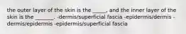 the outer layer of the skin is the _____, and the inner layer of the skin is the _______. -dermis/superficial fascia -epidermis/dermis -dermis/epidermis -epidermis/superficial fascia