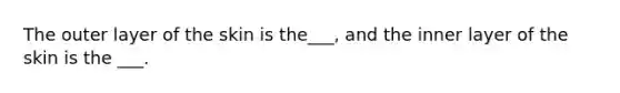 The outer layer of the skin is the___, and the inner layer of the skin is the ___.