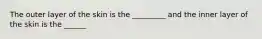 The outer layer of the skin is the _________ and the inner layer of the skin is the ______