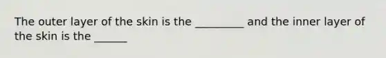 The outer layer of the skin is the _________ and the inner layer of the skin is the ______