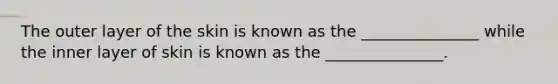 The outer layer of the skin is known as the _______________ while the inner layer of skin is known as the _______________.