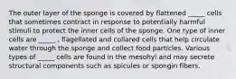 The outer layer of the sponge is covered by flattened _____ cells that sometimes contract in response to potentially harmful stimuli to protect the inner cells of the sponge. One type of inner cells are _____ , flagellated and collared cells that help circulate water through the sponge and collect food particles. Various types of _____ cells are found in the mesohyl and may secrete structural components such as spicules or spongin fibers.