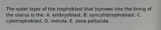 The outer layer of the trophoblast that burrows into the lining of the uterus is the: A. embryoblast. B. syncytiotrophoblast. C. cytotrophoblast. D. morula. E. zona pellucida.