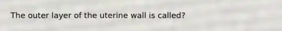 The outer layer of the uterine wall is called?