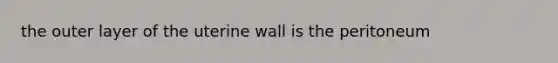 the outer layer of the uterine wall is the peritoneum