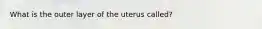 What is the outer layer of the uterus called?