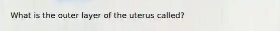 What is the outer layer of the uterus called?