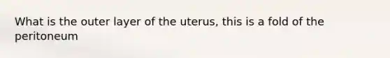 What is the outer layer of the uterus, this is a fold of the peritoneum