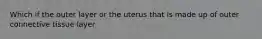 Which if the outer layer or the uterus that is made up of outer connective tissue layer