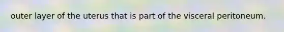 outer layer of the uterus that is part of the visceral peritoneum.