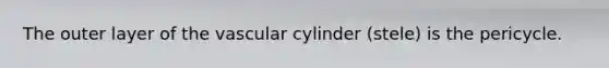 The outer layer of the vascular cylinder (stele) is the pericycle.