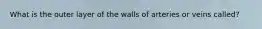 What is the outer layer of the walls of arteries or veins called?