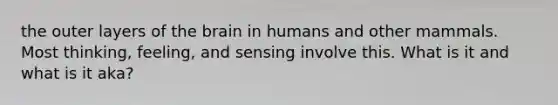 the outer layers of the brain in humans and other mammals. Most thinking, feeling, and sensing involve this. What is it and what is it aka?