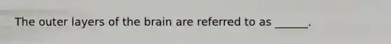 The outer layers of <a href='https://www.questionai.com/knowledge/kLMtJeqKp6-the-brain' class='anchor-knowledge'>the brain</a> are referred to as ______.