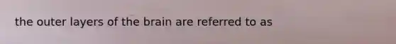 the outer layers of the brain are referred to as
