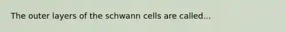 The outer layers of the schwann cells are called...