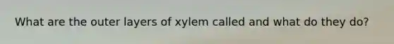 What are the outer layers of xylem called and what do they do?