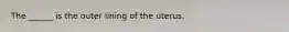 The ______ is the outer lining of the uterus.