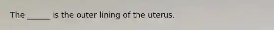 The ______ is the outer lining of the uterus.