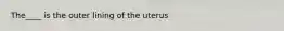 The____ is the outer lining of the uterus