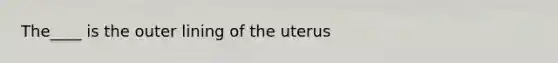 The____ is the outer lining of the uterus