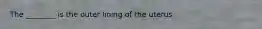 The ________ is the outer lining of the uterus