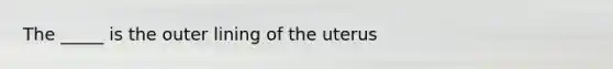 The _____ is the outer lining of the uterus