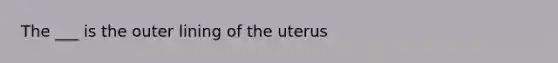 The ___ is the outer lining of the uterus