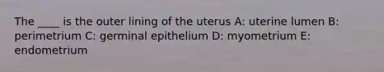 The ____ is the outer lining of the uterus A: uterine lumen B: perimetrium C: germinal epithelium D: myometrium E: endometrium