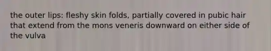 the outer lips: fleshy skin folds, partially covered in pubic hair that extend from the mons veneris downward on either side of the vulva