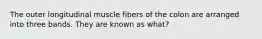 The outer longitudinal muscle fibers of the colon are arranged into three bands. They are known as what?