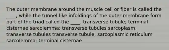 The outer membrane around the muscle cell or fiber is called the ____, while the tunnel-like infoldings of the outer membrane form part of the triad called the ____. transverse tubule; terminal cisternae sarcolemma; transverse tubules sarcoplasm; transverse tubules transverse tubule; sarcoplasmic reticulum sarcolemma; terminal cisternae