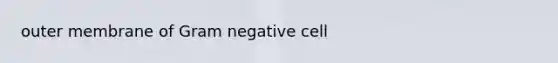 outer membrane of Gram negative cell