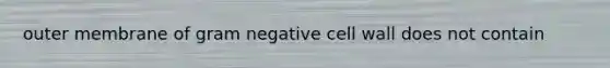 outer membrane of gram negative cell wall does not contain