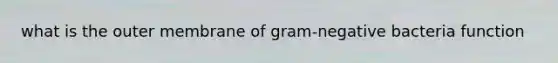 what is the outer membrane of gram-negative bacteria function