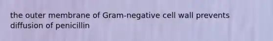 the outer membrane of Gram-negative cell wall prevents diffusion of penicillin