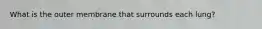 What is the outer membrane that surrounds each lung?