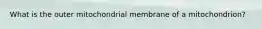 What is the outer mitochondrial membrane of a mitochondrion?
