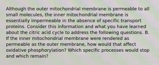 Although the outer mitochondrial membrane is permeable to all small molecules, the inner mitochondrial membrane is essentially impermeable in the absence of specific transport proteins. Consider this information and what you have learned about the citric acid cycle to address the following questions. B. If the inner mitochondrial membrane were rendered as permeable as the outer membrane, how would that affect <a href='https://www.questionai.com/knowledge/kFazUb9IwO-oxidative-phosphorylation' class='anchor-knowledge'>oxidative phosphorylation</a>? Which specific processes would stop and which remain?