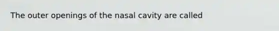 The outer openings of the nasal cavity are called