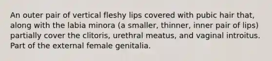 An outer pair of vertical fleshy lips covered with pubic hair that, along with the labia minora (a smaller, thinner, inner pair of lips) partially cover the clitoris, urethral meatus, and vaginal introitus. Part of the external female genitalia.