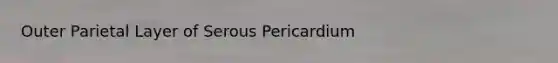 Outer Parietal Layer of Serous Pericardium