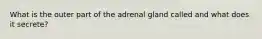 What is the outer part of the adrenal gland called and what does it secrete?