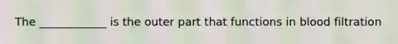 The ____________ is the outer part that functions in blood filtration