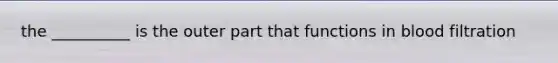 the __________ is the outer part that functions in blood filtration