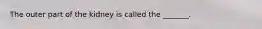 The outer part of the kidney is called the _______.